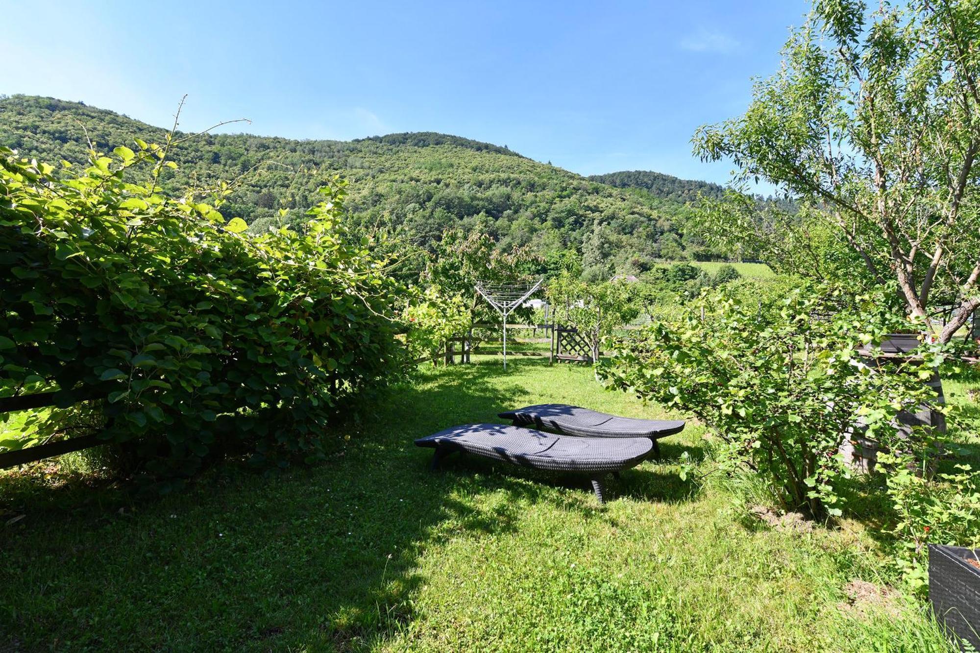Paquerettes - Maison Avec Jardin Et Parking Kaysersberg-Vignoble Exterior foto
